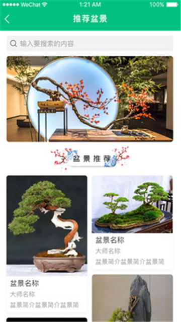 盆景世界