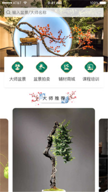 盆景世界