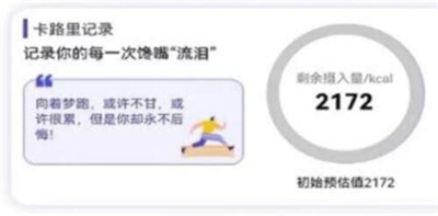 卡路里计算助手