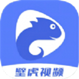 壁虎视频软件 v3.7