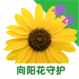 向阳花守护 v1.1.3