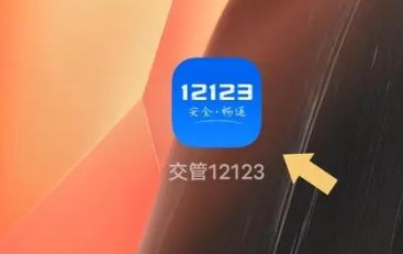 交管12123拍照功能在哪