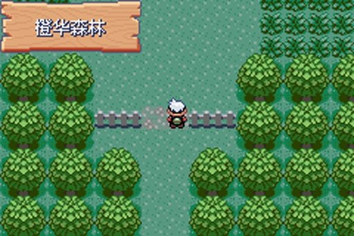 口袋妖怪绿宝石进化版