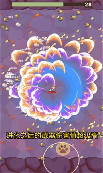 喵吉的旅行
