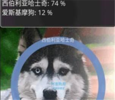 形色识物