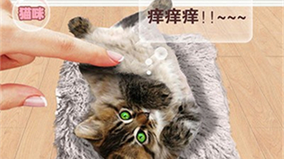 猫猫语言转换器