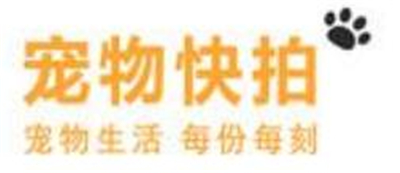 宠友社交