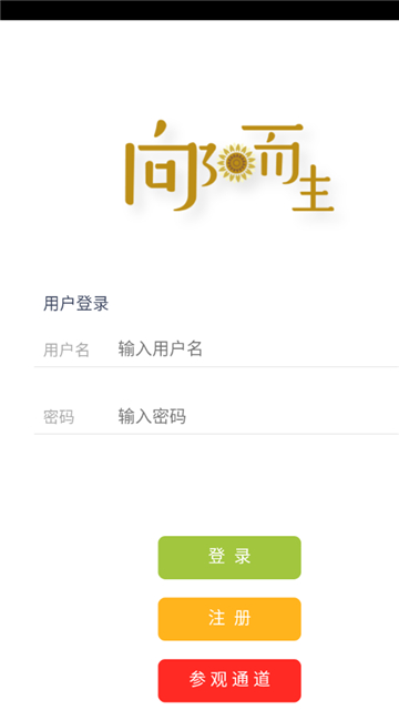 向阳而生