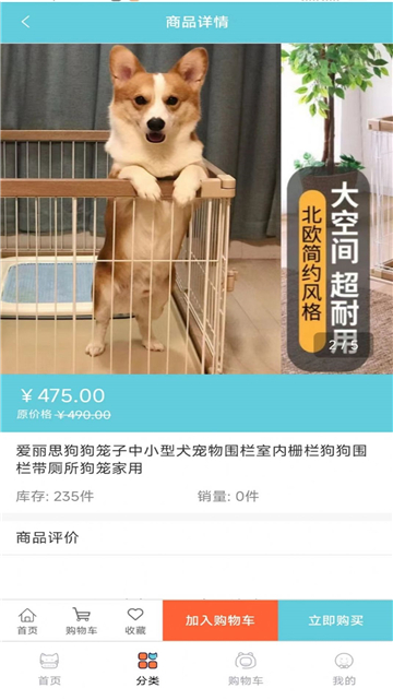 宠粉购物