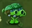 植物大战僵尸转基因版