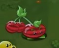 植物大战僵尸转基因版