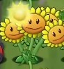 植物大战僵尸转基因版