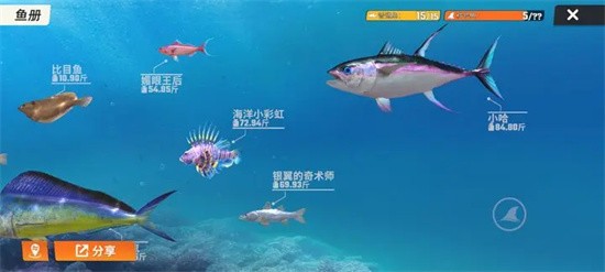 《欢乐钓鱼大师》玩法心得一览