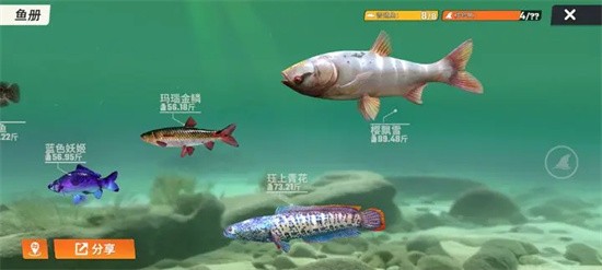 《欢乐钓鱼大师》玩法心得一览