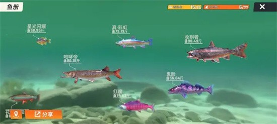 《欢乐钓鱼大师》玩法心得一览