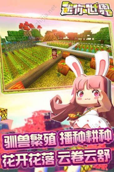 迷你基地内测版安装包