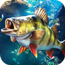 欢乐钓鱼大师 v1.0.0.137961