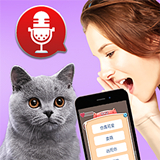 猫猫语言转换器 v1.0