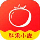 红果小说app v7.4