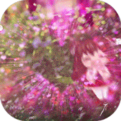 三国闪移动版 v1.1.1.0