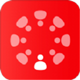 多多团长 v2.18.2
