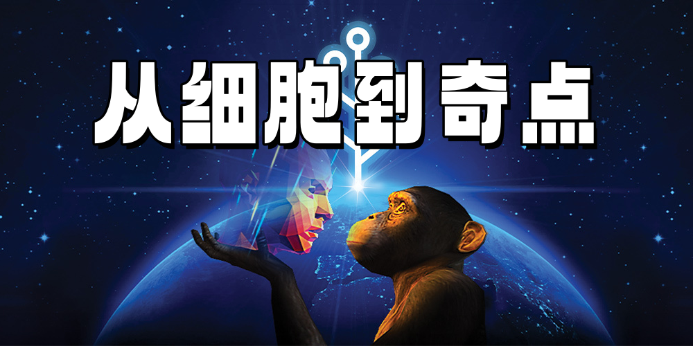 从细胞到奇点