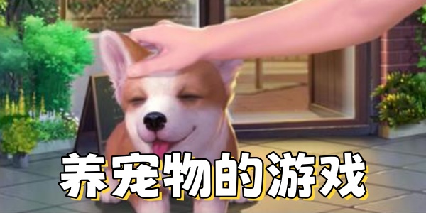 养宠物的游戏
